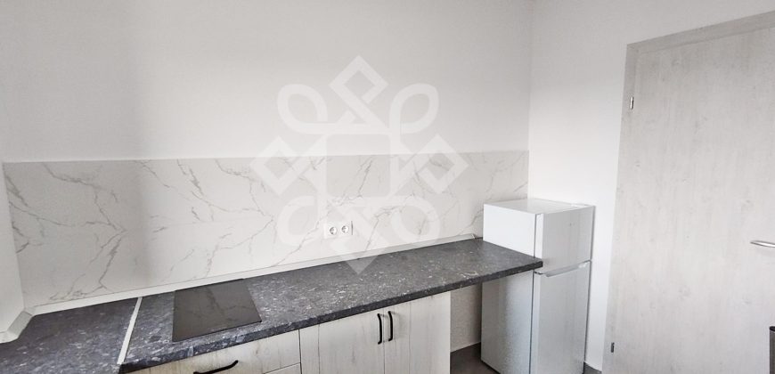 Apartament ideal pentru muncitori, Iosia Nord