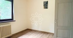 Apartament decomandat cu 2 camere de inchiriat in Rogerius