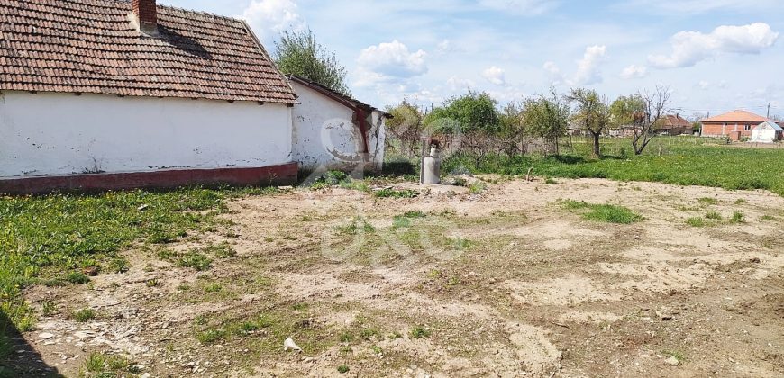 Teren intravilan de vanzare, 1410 mp in Tarian, Bihor