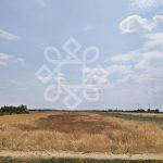Teren intravilan de vanzare, 3000 mp in Gepiu, Bihor