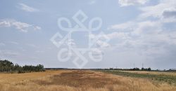 Teren intravilan de vanzare, 3000 mp in Gepiu, Bihor