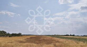 Teren intravilan de vanzare, 3000 mp in Gepiu, Bihor