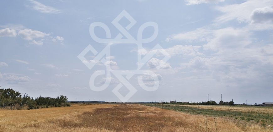 Teren intravilan de vanzare, 3000 mp in Gepiu, Bihor
