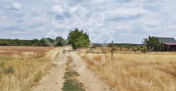 Teren intravilan de vanzare, 3000 mp in Gepiu, Bihor