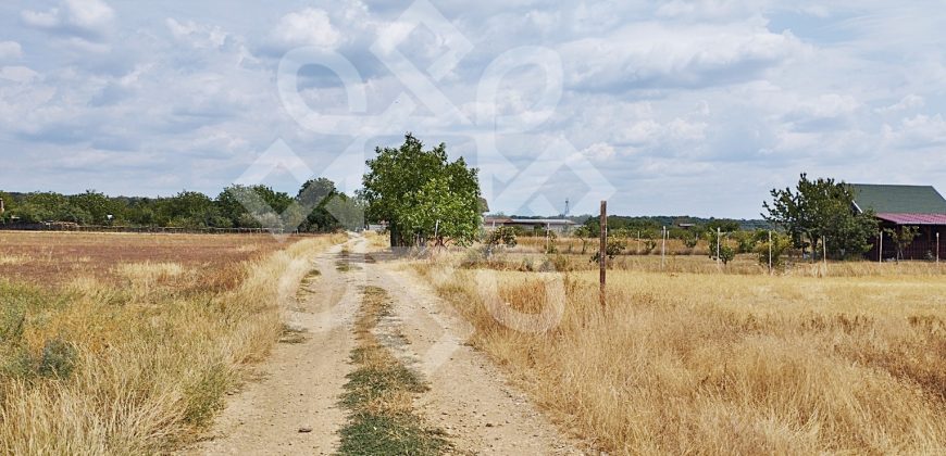 Teren intravilan de vanzare, 3000 mp in Gepiu, Bihor
