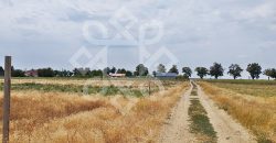 Teren intravilan de vanzare, 3000 mp in Gepiu, Bihor