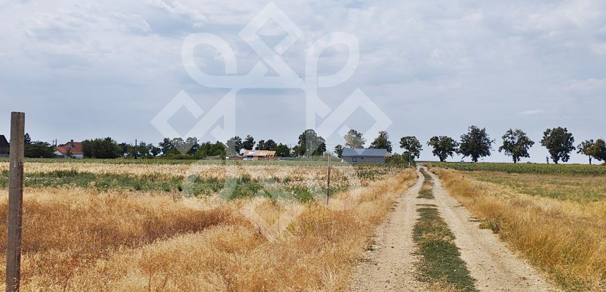 Teren intravilan de vanzare, 3000 mp in Gepiu, Bihor