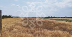Teren intravilan de vanzare, 3000 mp in Gepiu, Bihor