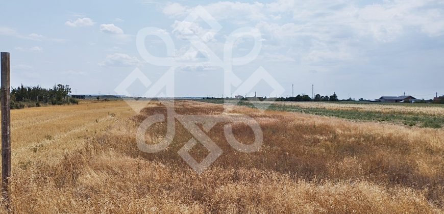 Teren intravilan de vanzare, 3000 mp in Gepiu, Bihor