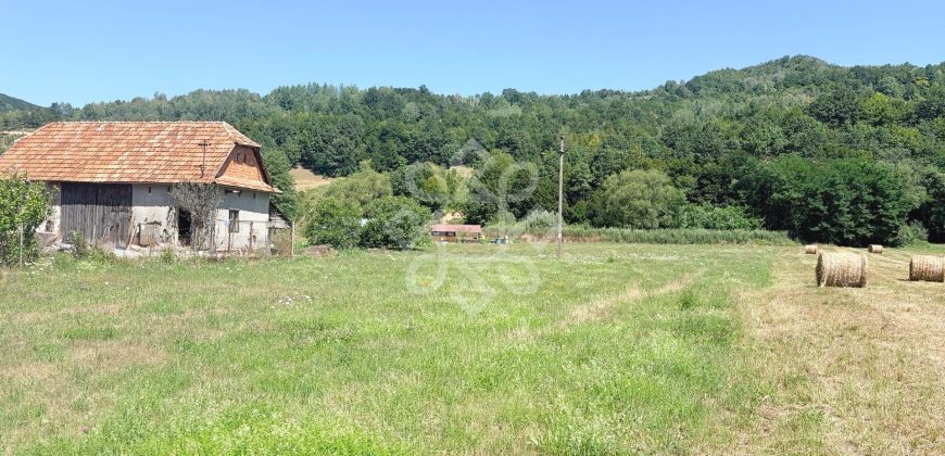 Teren intravilan de vanzare, 3573 mp, Negreni, judetul Cluj